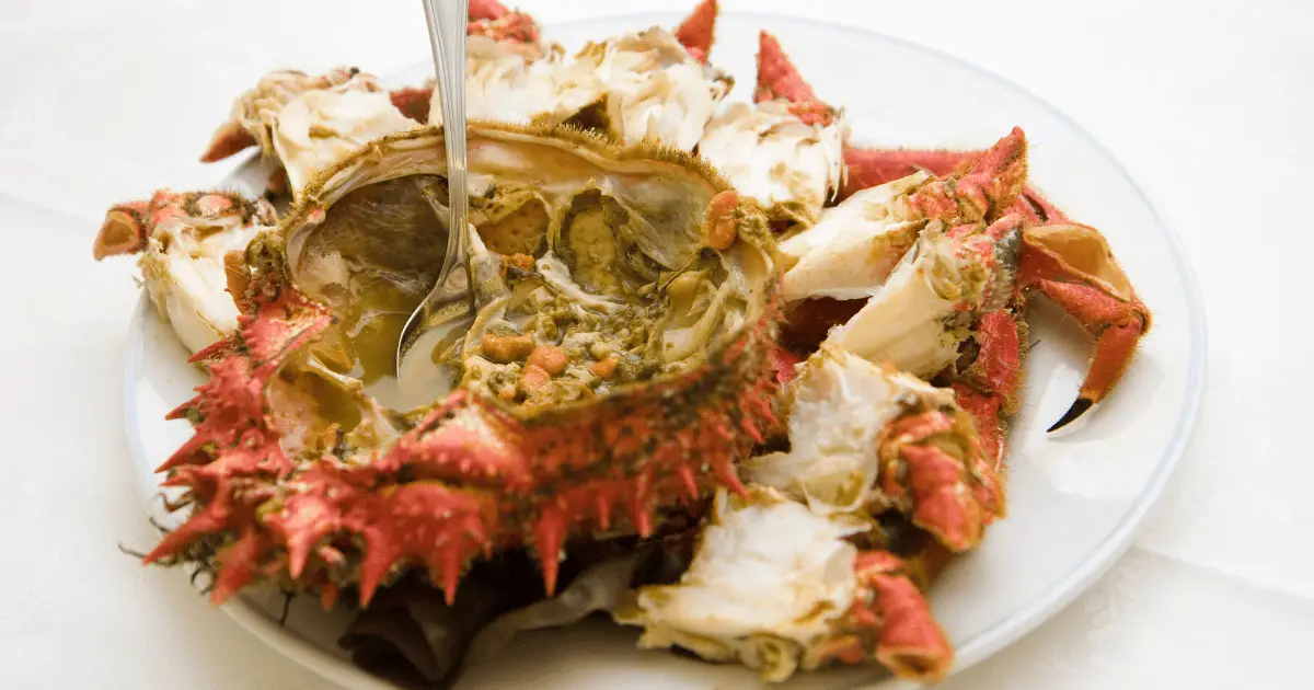 Can you Eat Spider Crabs?