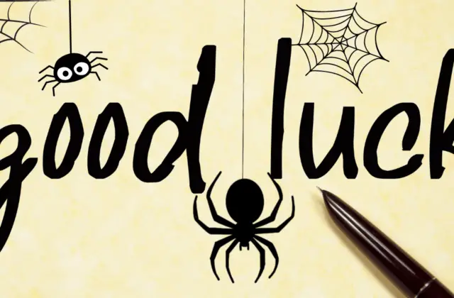 Are Spiders Good Luck?